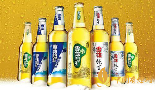 雪花啤酒2021年价格解析：数据解读产品性价比