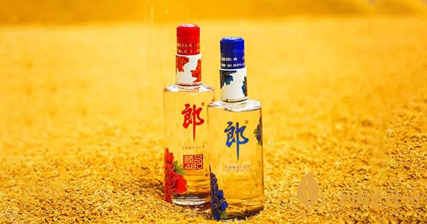 品味郎酒：古蔺高粱的酱香传奇