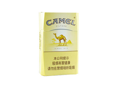 CAMEL(骆驼)