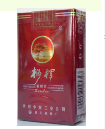 桫椤