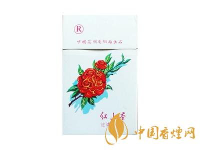红山茶