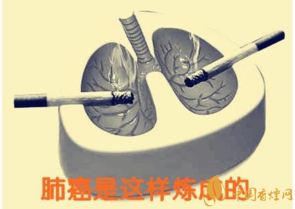 烟致癌吗(还会引起急中毒) 烟致癌有科学依据