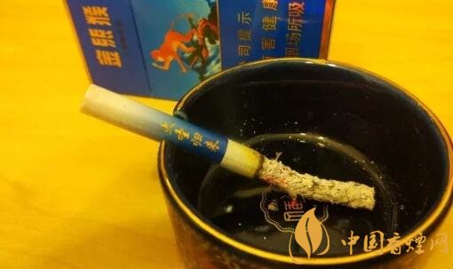 金丝猴大圣归来好吗 好猫金丝猴上演大圣归来