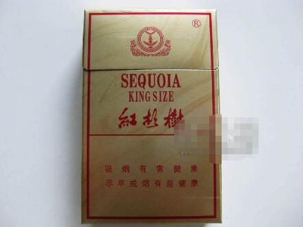 杉树(小贡)