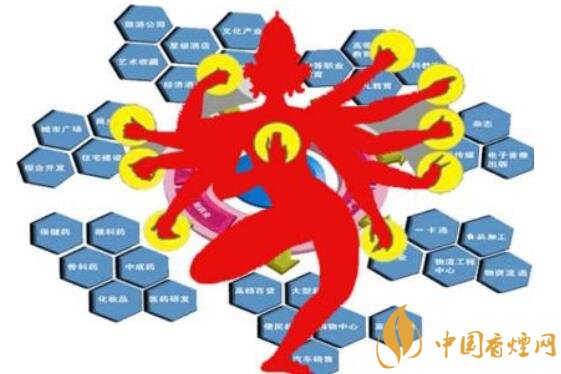 2018中国烟草多元化新局面 贵烟努力开创烟草多元化经营战略