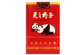 娇子(软天之娇子)