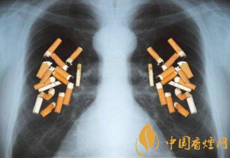 戒烟之路：揭秘成功戒烟后的身体变化