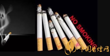 揭秘香烟：中国烟草消耗占据世界40%的惊实