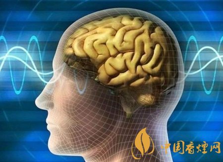 2019世界无烟：烟，你付出了哪些代价？