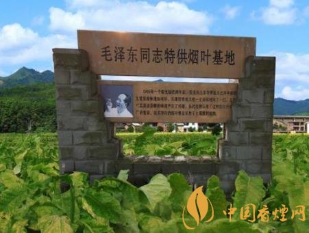 城国礼1号价格揭秘：探寻其背后的价值与工艺