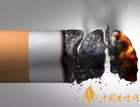 烟瘾的危害不容忽视，戒烟成功并非遥不可及！