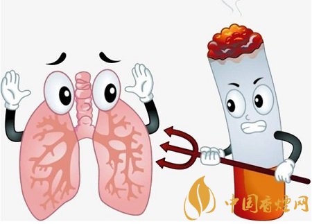 烟的危害：不仅仅是肺，还有胃