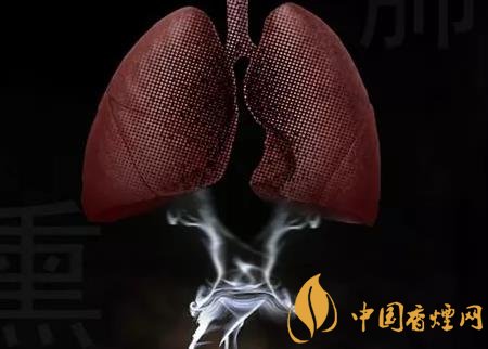 烟与肺结核：揭秘两者之间的联系