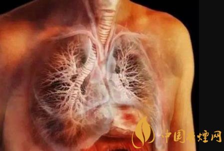 一天一包烟的慢危害：一年后的身体变化
