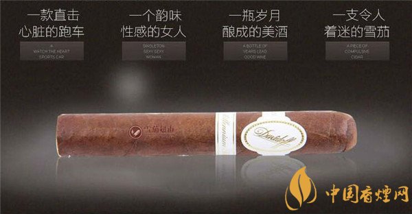 大卫杜夫雪茄(罗布图)怎么样 大卫杜夫罗布图好吗