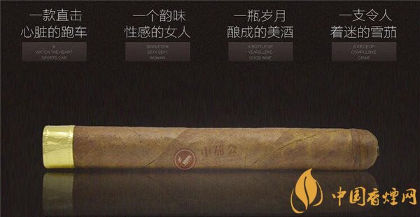 大卫杜夫雪茄(大卫杜夫金装名士)怎么样 大卫杜夫金装名士好吗?