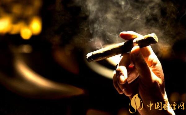大卫杜夫雪茄怎么样 大卫杜夫温斯顿丘吉尔指挥官好吗