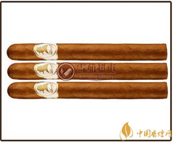 大卫杜夫雪茄怎么样 大卫杜夫温斯顿丘吉尔指挥官好吗