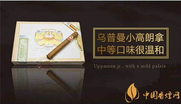 古巴雪茄烟(乌普曼小高朗拿)怎么样 乌普曼小高朗拿好吗