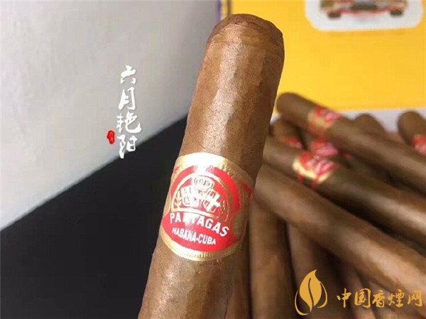 古巴雪茄烟(帕塔加斯巨)怎么样 帕塔加斯巨雪茄好吗