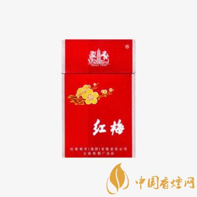 2025梅烟价格解析及品牌特色