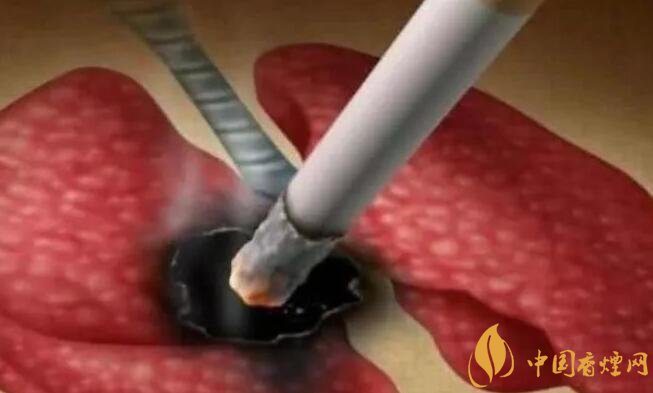 烟危害揭秘：一天五口烟，健康底线不容忽视