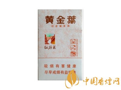 黄金叶(硬旗渠小天叶)