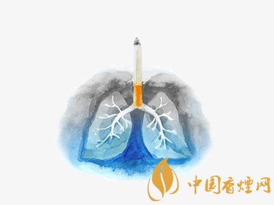 高价烟真的更伤身？揭秘的陷阱