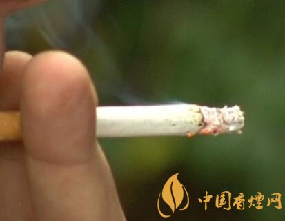 意大利私家车内禁烟提议引争议