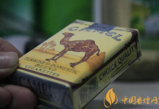 揭秘香烟过滤嘴：无嘴香烟与有嘴香烟，哪个危害更大？