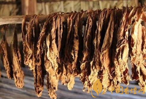 雪茄氨气探秘：烟叶发酵的秘密武器