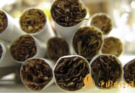 烟丝品质揭秘：你真的了解烟丝吗？
