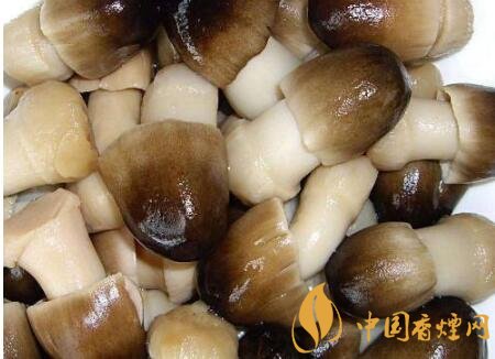 烟者饮食攻略：如何通过食物对抗烟毒