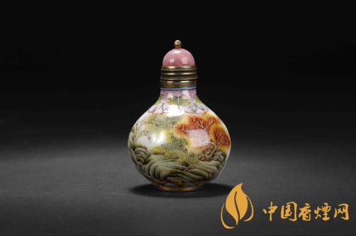 鼻的作用与用途 鼻图片大全