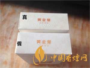黄金叶天叶真假识别 