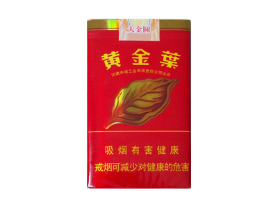 黄金叶(大金圆)