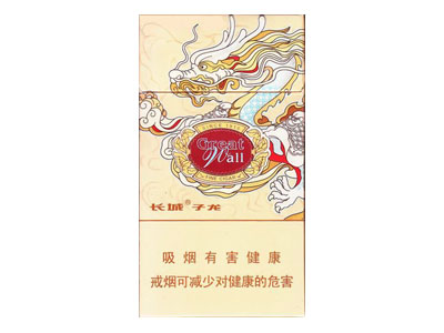 城(子龙)