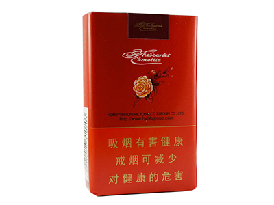 山茶(软)