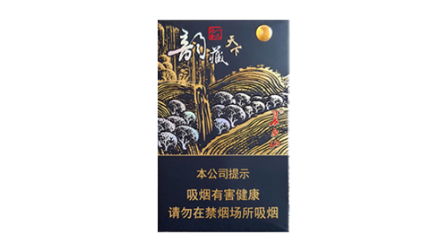 白山韵藏天下香烟价格揭秘：33元/盒，口感独特