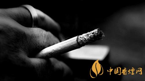 黑白中华真假辨别攻略：老周教你识破陷阱