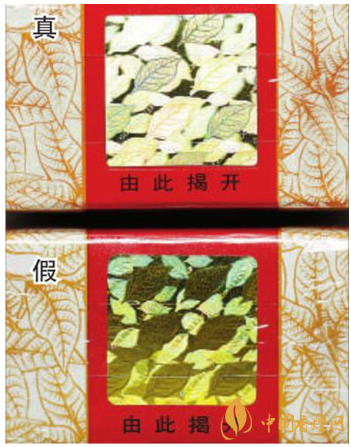 黄金叶天叶真的快速鉴别（带图）