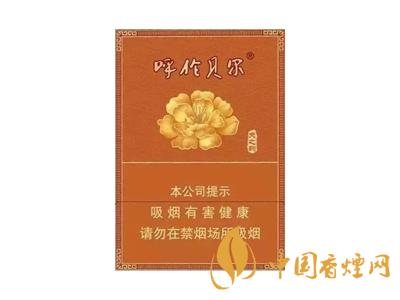 呼贝尔(天之韵)