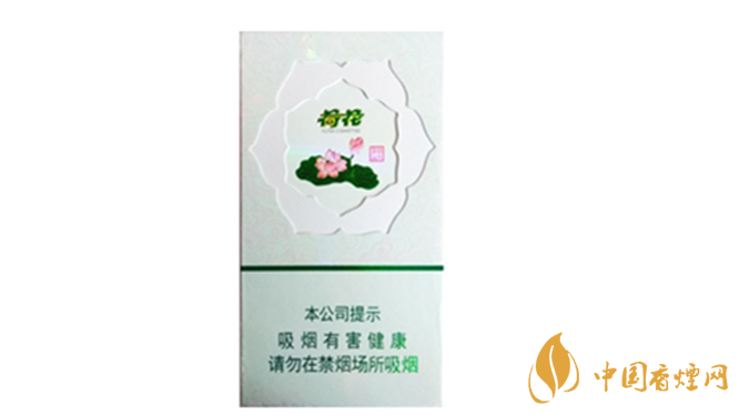 钻石荷花绿水青山烟报告