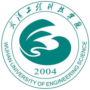 武汉工程科技学院