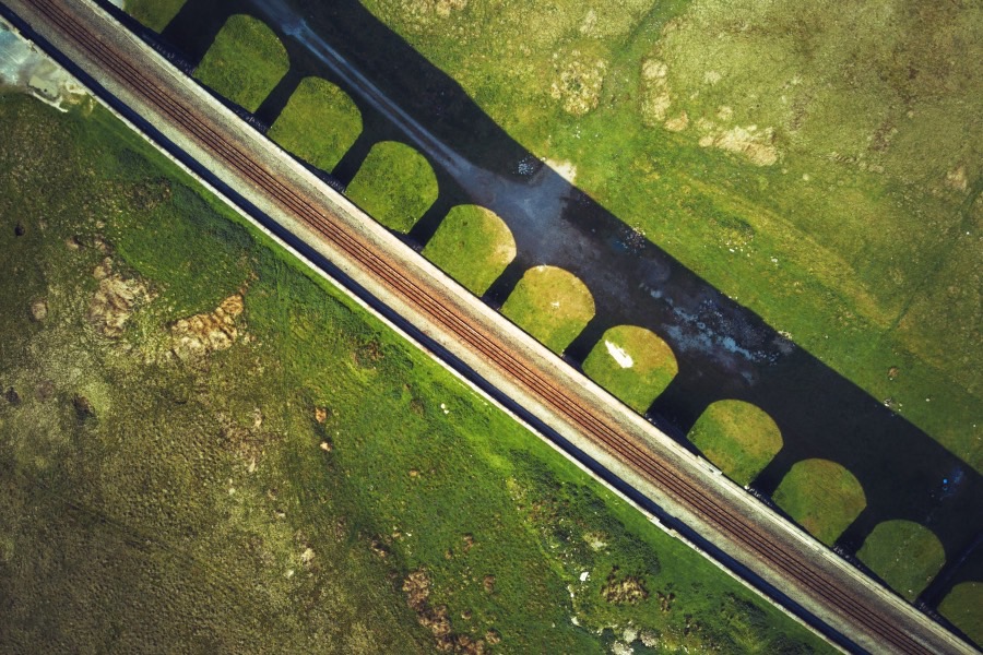 专业标志