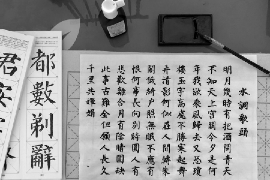 专业标志