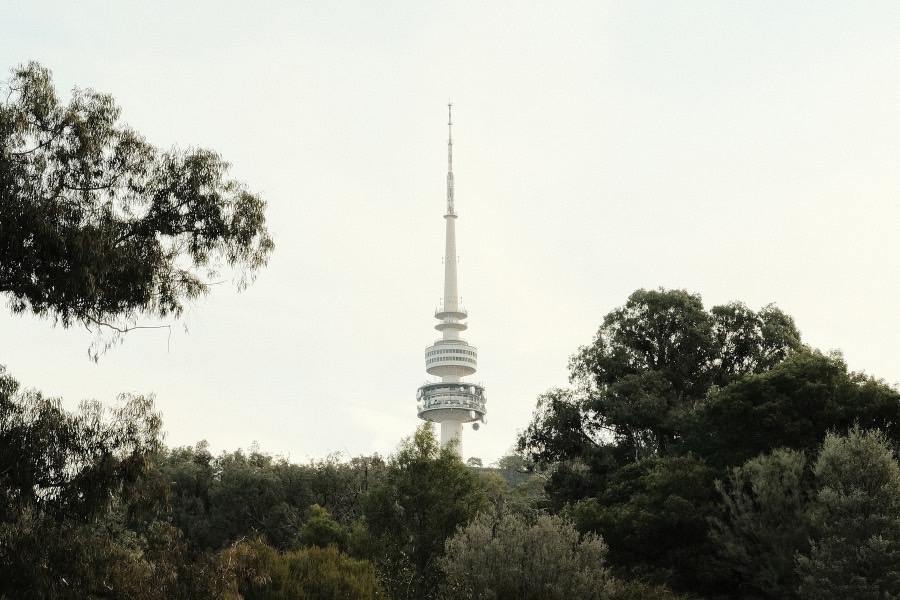 专业标志
