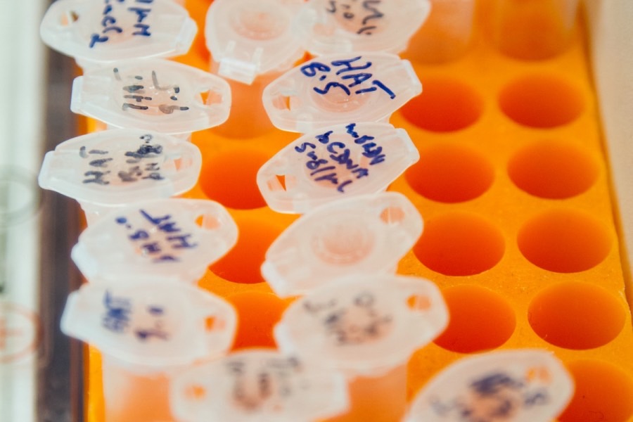 生物农药科学与工程专业介绍_本科_农学