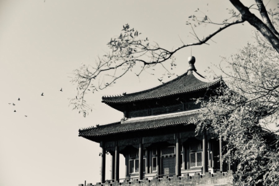 汉语言文学专业介绍_本科_文学