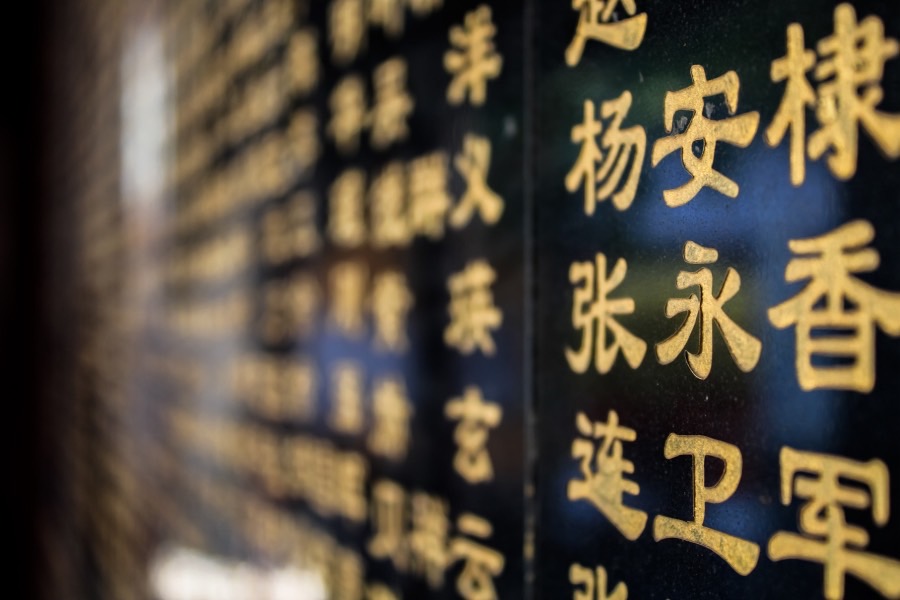 专业标志